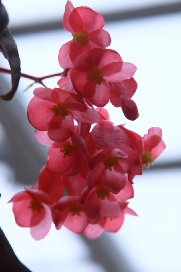 2013 02 23 IMG 6013